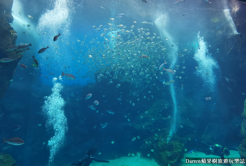 桃園水族館|桃園青埔xpark都會型水生公園攻略(xpark門票交通資訊)