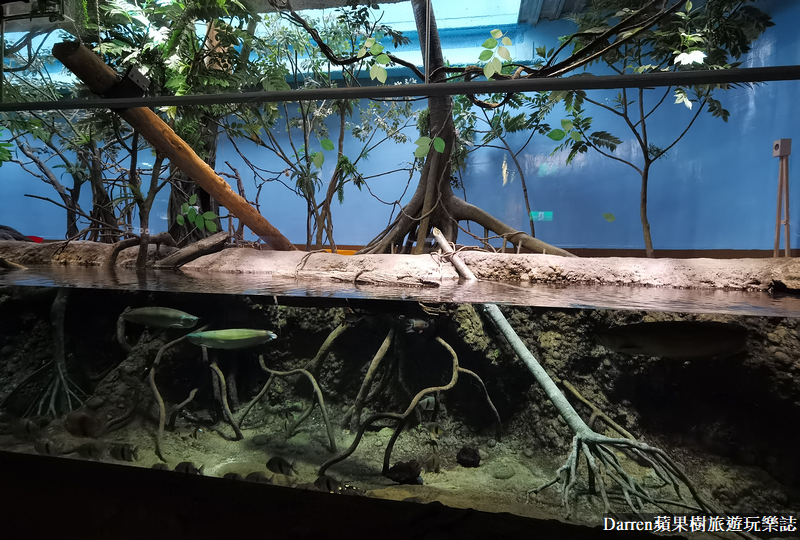 桃園水族館|桃園青埔xpark都會型水生公園攻略(xpark門票交通資訊)