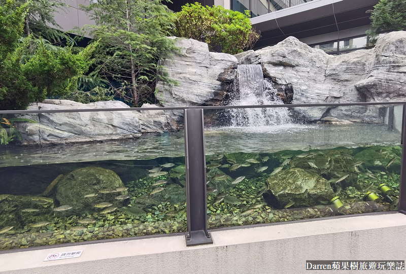 桃園水族館|桃園青埔xpark都會型水生公園攻略(xpark門票交通資訊)